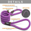 Picture of Fida Durable Slip Lead Dog Leash, Heavy Duty 1/2" x 6 FT Comfortable Strong Rope Slip Leash for Large, Medium & Small Dogs No Pulling Pet Training Leash with Highly Reflective Threads (Purple)