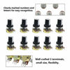 Picture of B10K 10K Ohm Knurled Shaft Linear Rotary Taper Potentiometer with Knob/Nuts/Washer Kit-20 Pcs