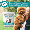 Picture of Vet Classics Stress Away Calming Aid for Dogs and Cats - Soft Chew Pet Health Supplement for Dogs, and Cats - Melatonin, Ginger - 65 Ct.