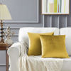 Picture of GIGIZAZA Yellow Velvet Decorative Throw Pillow Covers for Sofa Bed 2 Pack Soft Cushion Cover