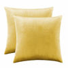 Picture of GIGIZAZA Yellow Velvet Decorative Throw Pillow Covers for Sofa Bed 2 Pack Soft Cushion Cover