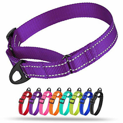 Picture of Collardirect Reflective Martingale Dog Collar Nylon Training Collars for Small Medium Large Dogs Puppy Pink Orange Green (L, Neck Size 16"-24", Purple)