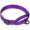 Picture of Collardirect Reflective Martingale Dog Collar Nylon Training Collars for Small Medium Large Dogs Puppy Pink Orange Green (L, Neck Size 16"-24", Purple)