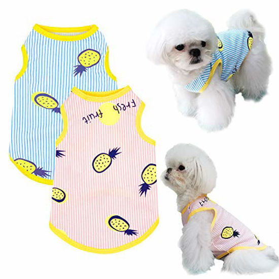 Kigai Cute Omelette Puppy Kitten Cotton Shirt Cute Print Warm Cotton Fleece  Soft and Comfortable Sleeveless Pet Clothes : : Pet Supplies
