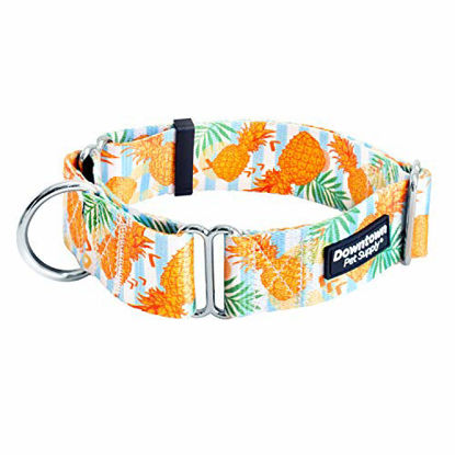 Picture of Downtown Pet Supply Big and Wide Durable Martingale Training Collars for Dogs and Puppy in Small, Medium, Large, and Extra Large Dog Collar (Pineapple, Small)