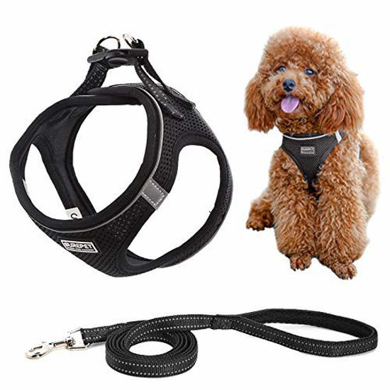 Padded step deals in dog harness