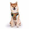 Picture of Scooby-Doo Warner Brothers Dog Harness | Soft and Comfortable Large Dog Harness Dog Harness No Pull Tan and Blue Dog Harness | Cute Dog Harnesses for Large Dogs, FF15832