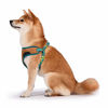 Picture of Scooby-Doo Warner Brothers Dog Harness | Soft and Comfortable Large Dog Harness Dog Harness No Pull Tan and Blue Dog Harness | Cute Dog Harnesses for Large Dogs, FF15832