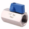 Picture of DERNORD Mini Ball Valve - Stainless Steel ball valve 1/2" NPT Thread (1/2" Female&Female)