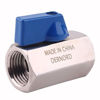 Picture of DERNORD Mini Ball Valve - Stainless Steel ball valve 1/2" NPT Thread (1/2" Female&Female)