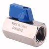 Picture of DERNORD Mini Ball Valve - Stainless Steel ball valve 1/2" NPT Thread (1/2" Female&Female)