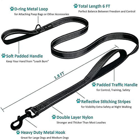 2 handle dog outlet lead