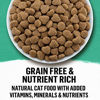 Picture of Purina Beyond Grain Free, Natural Dry Cat Food, Simply Grain Free Ocean Whitefish & Egg Recipe - 5 lb. Bag