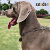 Picture of SGODA Chain Dog Training Choke Collar, SUS304, 26in, 4.0mm