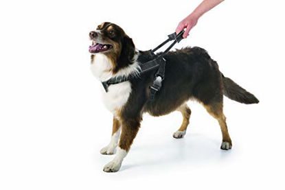 Picture of Sherpa Dog Harness with Built in Leash, Black, Medium, Model Number: SPT77723