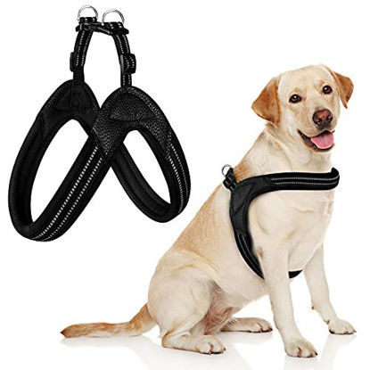 Chest belt shops for dogs