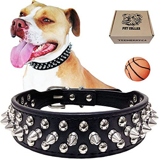 Black studded shop dog collar