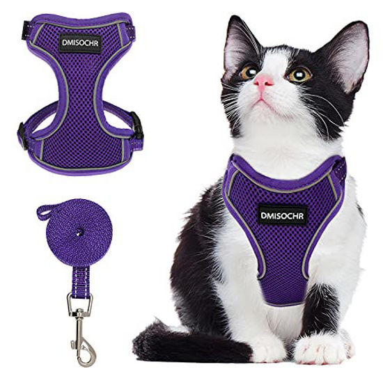 Cat body clearance harness