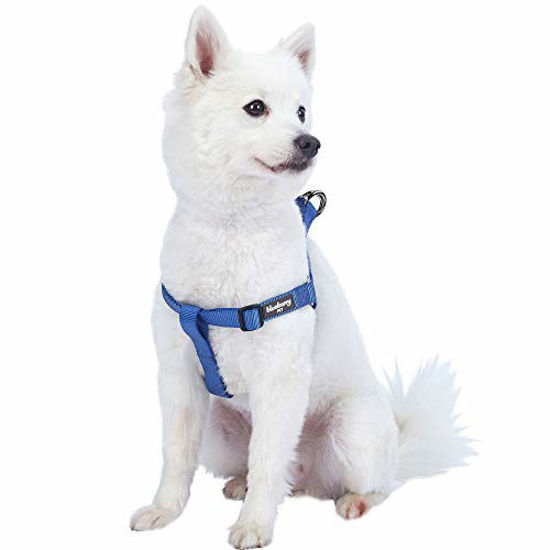 Blueberry pet hot sale dog harness