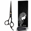 Picture of Hair Cutting Scissors Shears Professional Barber ACE 6 inch Hairdressing Regular Scissor Salon Razor Edge Hair Cutting Shear for Women, Men, Kids (Black)