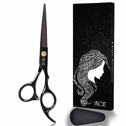 Haircut Scissors for Hair Cutting, Fcysy Professional 6 Inches Hair Scissors  Barber Shears, Haircutting Scissor Beard Scissors Hair cutting Scissors  with Comb, Salon Hair Shears for Men Women Pet Hair Scissors Black