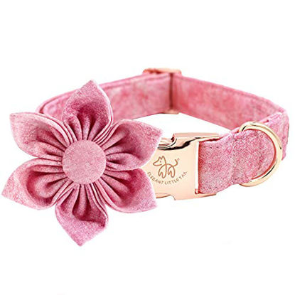 Picture of Elegant little tail Pink Girl Dog Collar for Female Dogs, Pet Collar Adjustable Dog Collars with Flower Gift for X-Small Dogs and Cats