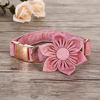 Picture of Elegant little tail Pink Girl Dog Collar for Female Dogs, Pet Collar Adjustable Dog Collars with Flower Gift for X-Small Dogs and Cats