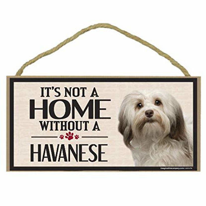 Picture of Imagine This Wood Sign for Havanese Dog Breeds