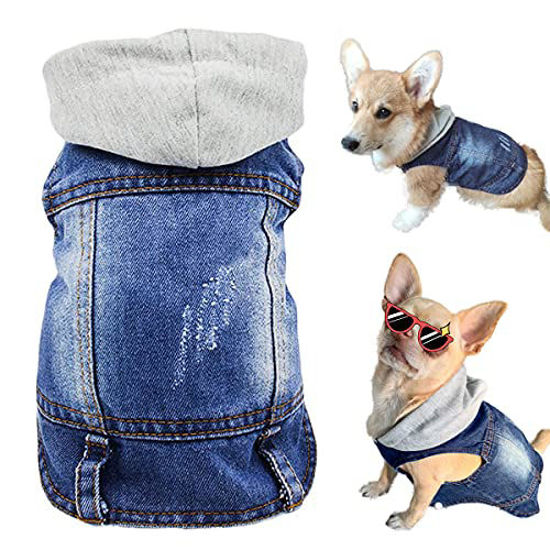 Dog sales jeans jacket