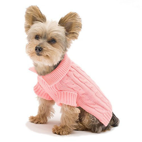 Xs on sale dog sweater