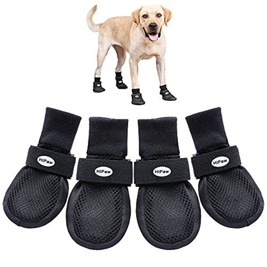 Dog booties for hot sale hardwood floors