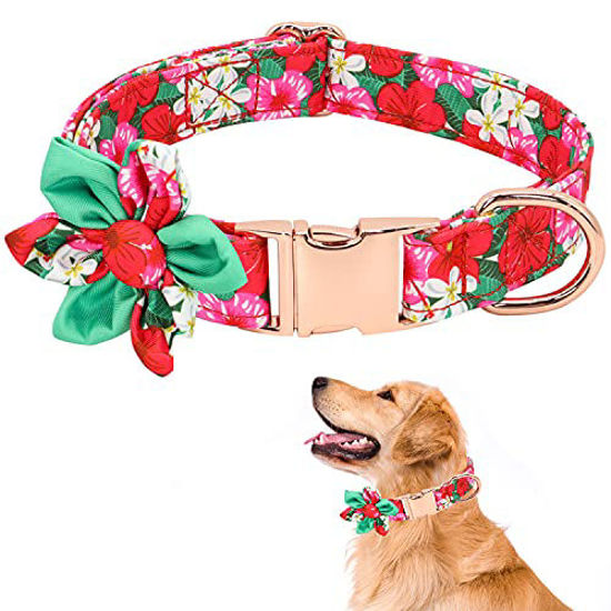  ARING PET Velvet Dog Collar, Adorable Christmas Dog Collar  with Felt Flower, Comfortable Red Girl Dog Collars with Metal Buckle for  Small Medium Large Dogs : Pet Supplies