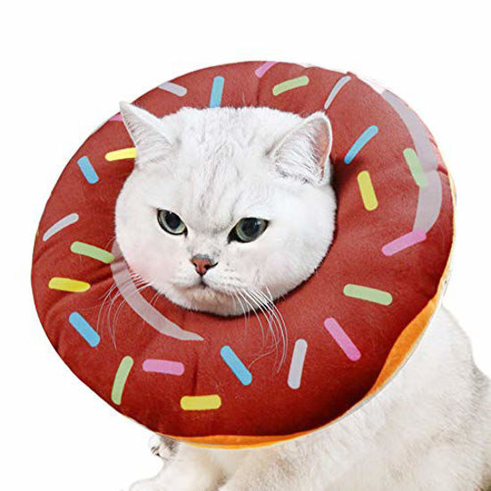 E cone for store cats