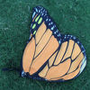 Picture of LMYOVE Kids Butterfly Wings Shawl Nymph Pixie Costume Accessory (118cm(L)48cm(W)/46.45" x 18.9", Orange)