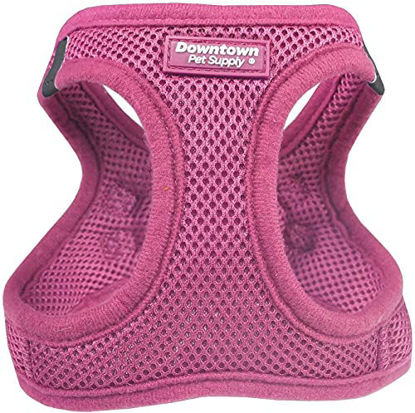 Picture of Downtown Pet Supply No Pull, Step in Adjustable Dog Harness with Padded Vest, Easy to Put on Small, Medium and Large Dogs (Pink, XXS)