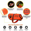 Picture of Dog Safety Reflective Vest (5 Sizes,X-Small) - High Visibility for Outdoor Activity Day and Night, Keep Your Dog Visible, Safe from Cars & Hunting Accidents | Blaze Orange by 4LegsFriend