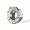 Picture of 3/8-16 Serrated Flange Nuts Flanged Locknuts, Stainless Steel 18-8 (304), Bright Finish, 50 PCS