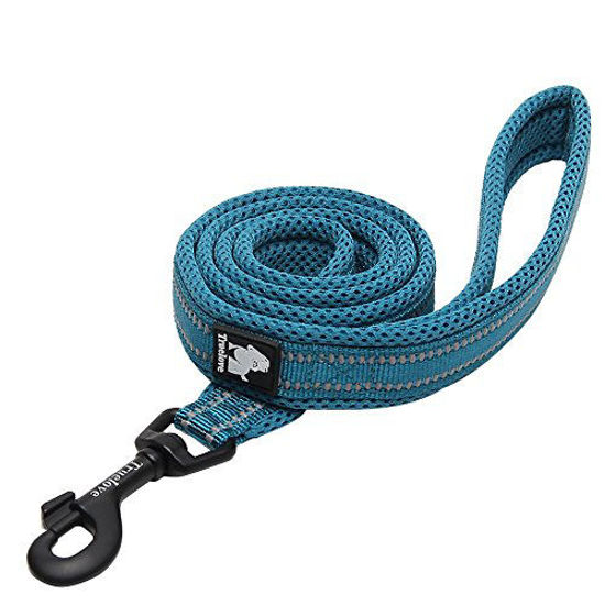 GetUSCart Chai s Choice Premium Outdoor Adventure Dog Leash