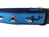 Picture of Ocean Dog Collar, Caninedesign, Quick Release Buckle, 1 inch Wide, Adjustable, Nylon, Medium and Large (Sharks, Large 15-22")