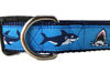 Picture of Ocean Dog Collar, Caninedesign, Quick Release Buckle, 1 inch Wide, Adjustable, Nylon, Medium and Large (Sharks, Large 15-22")