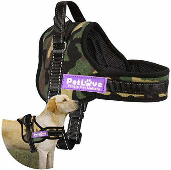 Petlove dog shop harness