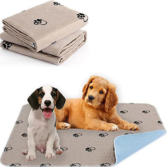 https://www.getuscart.com/images/thumbs/0912801_kawala-washable-pee-pads-for-dogs-reusable-puppy-potty-training-pads-non-slip-whelping-pads-waterpro_550.jpeg