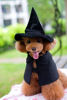 Picture of Hooded Cloak Witch/Wizard Costume for Medium Pets, Dog Halloween Costume