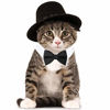 Picture of HUYADAPI Pet Bow Tie Adjustable Formal Collar Neck Tie and Costume Company Top Hat for Cats Dogs Puppy Pets, 2 Pieces