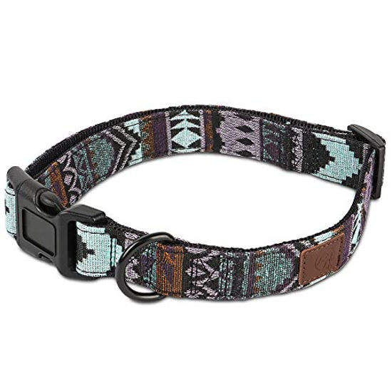 Male clearance dog collars