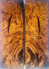 Picture of Bookmatched Ironwood (Burl Ball Pattern) Knife Scales - Knife Makers Material - Size 5 1/8 x 1 3/4 x 1/2 Inches - 1 Pair