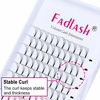 Picture of FADLASH Eyelash Extensions 5D Volume Lash Extensions Thickness .07 Lash Fans D Curl Premade Fans Soft|Optinal 0.07 0.10 C D Curl 8-20mm Professional Salon Supplies (5D-0.07-D, 12mm)