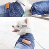 Picture of SILD Pet Clothes Dog Jeans Jacket Cool Blue Denim Coat Small Medium Puppy Blue Vintage Washed Clothes Dogs Lapel Vests Classic Hoodies