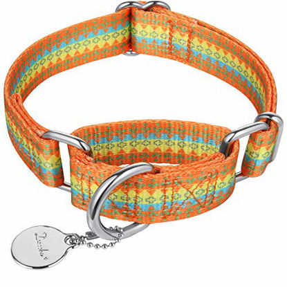 Leather Dog Collar Soft & Breathable Padded Metal Hardware Rust