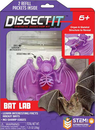 Picture of Dissect-It Simulated Synthetic Lab Dissection STEM Toy, Kids' Home Learning Science Project, Great for Young Scientists! - Bat